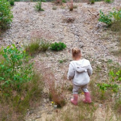 IMG20220627104111_2.jpg